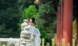 网友爆料汉服视频大全集,网友爆料视频大全集精彩回顾